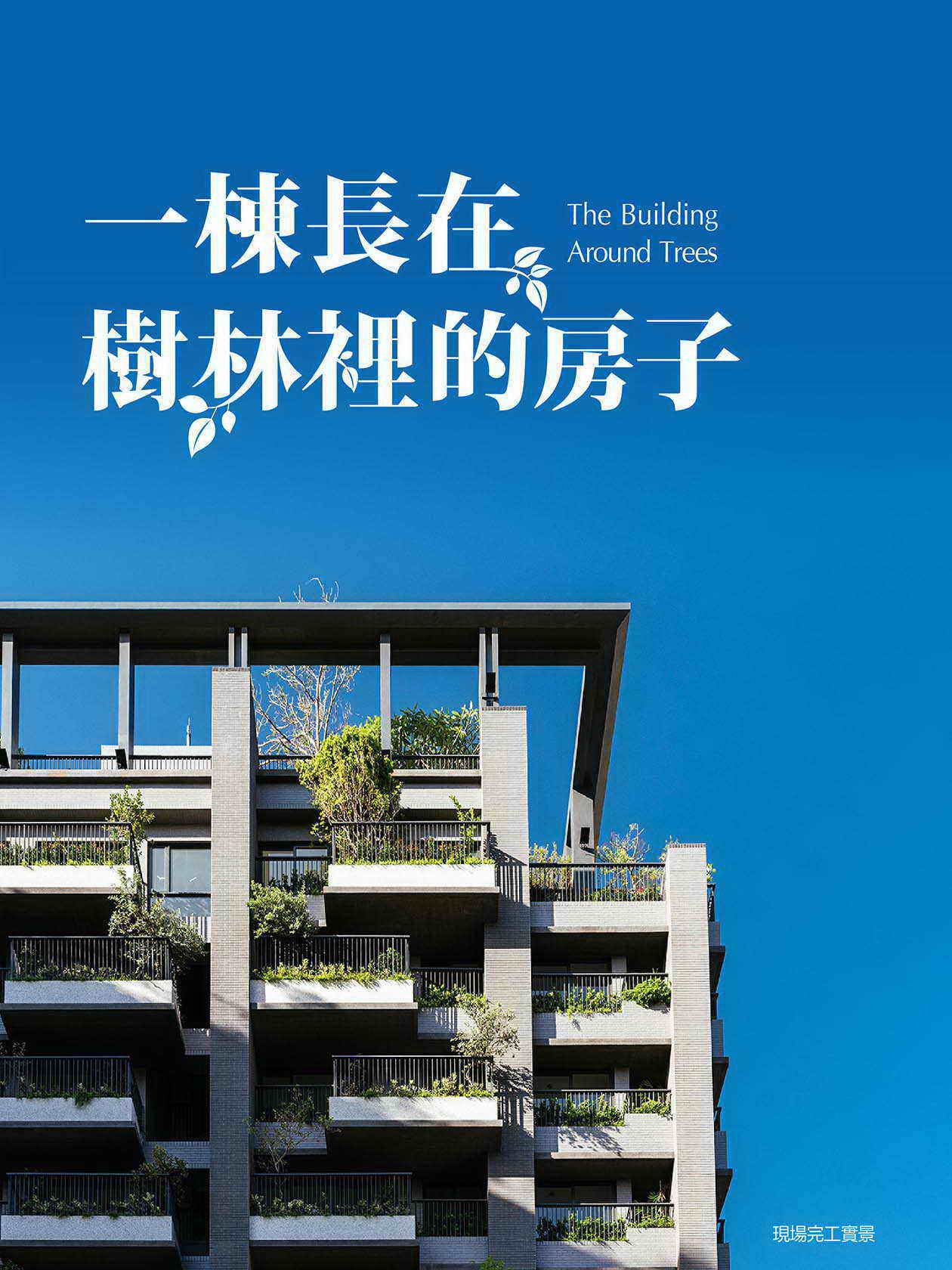 寶樺境雙