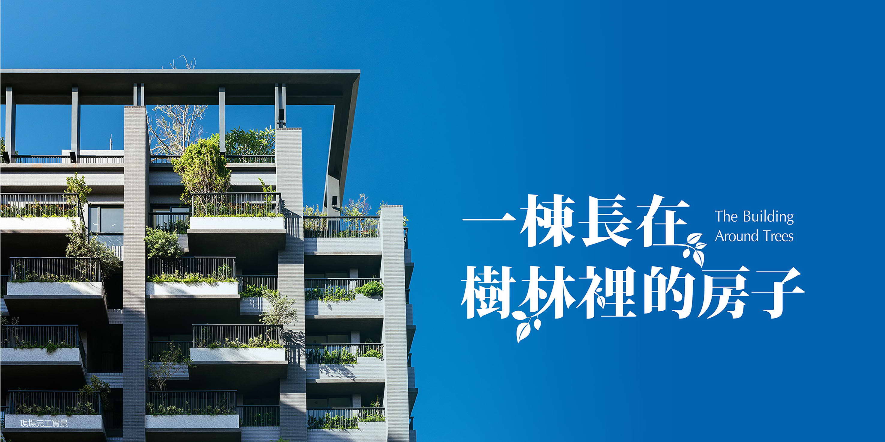 寶樺境雙